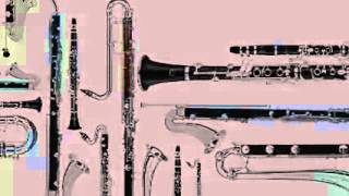 Mozart Clarinet Concerto Movement II by Anthony Bailey [upl. by Adall983]