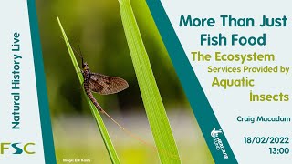 More Than Just Fish Food The Ecosystem Services Provided by Aquatic Insects [upl. by Goldshlag]