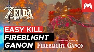 FIREBLIGHT GANON EASY KILL How to kill Divine Beast Vah Rudania  Breath of the Wild [upl. by Plusch172]