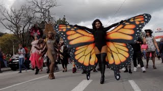 Pink Loerie Festival Held in South African Town as Part of Freedom Day Celebrations [upl. by Zahavi]