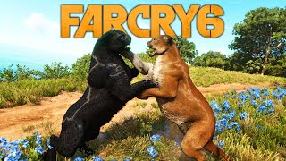 Far Cry 6 Animal Fights [upl. by Misty283]