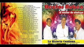 LOS MASTER DE AÑATUYA  EXITOS [upl. by Cyrill]