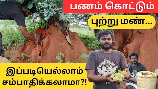 கரையான் புற்று காசாகுதா  இவரைப் போல யோசிச்சா நிச்சயம் வெற்றிதான்  Inspiring Youngster [upl. by Kissie]