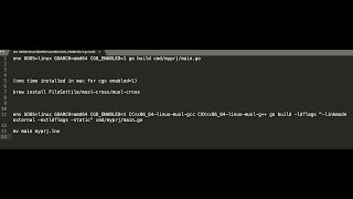 Golang Champion cross compile code with go enabled1 using mac [upl. by Delores377]