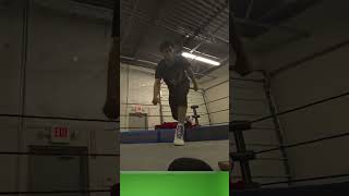 NEW Moonsault Form REVEALED [upl. by Waite]