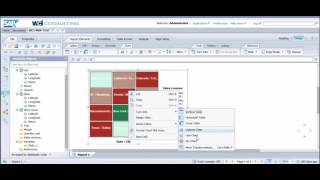 Tree and Heat Maps  Webi  BusinessObjects 42 [upl. by Ailaham]