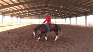 Matt Mills Reining  How to Teach Your Horse How to Spin Step 1 [upl. by Nospmoht852]