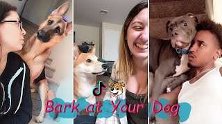 Bark at Your Dog Challenge 😂 TikTok Compilation 2023 1 [upl. by Ykcim]