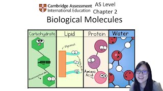 Chapter 21  Carbohydrates  Cambridge ALevel 9700 Biology [upl. by Wiersma]