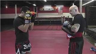 Kickboxing Training  Basic Kickboxing Techniques [upl. by Emerick]