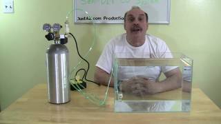 A Semi DIY Aquarium CO2 System  The sort of Do It Yourself CO2 system [upl. by Notwal]