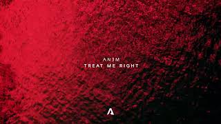 AN3M  Treat Me Right Official Visualizer [upl. by Aikem]