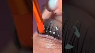 Lash Liftlashing lashlift lashliftandtint lashlifting [upl. by Atteoj]