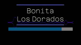 Karaoke  Bonita  Los Dorados [upl. by Harutak]