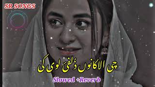 Che alakano zulfe loye k tapay slowed reverb  SR SONGS [upl. by Weissberg]