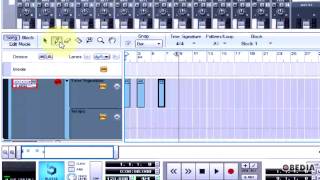 PROPELLERHEAD REASON how to automate a time signature change [upl. by Estren]