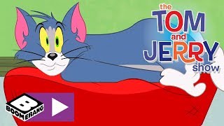 Tom și Jerry  Pisica din umbră  Cartoonito [upl. by Aihsak]