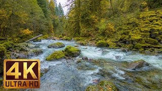 Beautiful Nature Video in 4K Ultra HD  Autumn River Sounds  5 Hours Long [upl. by Ettenotna]