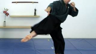 Yoko sokuto geri side knee kick basic  Ninjutsu technique for Akban wiki [upl. by Rowan691]