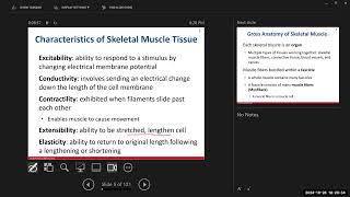 Day 15 BIO 210 700 Lecture FA2024 Muscle Tissue [upl. by Prisca]