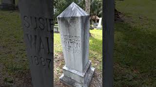 Tombstones at Westview Cemetery Palatka Florida [upl. by Langill453]