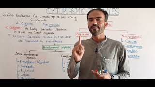 Cytoplasmic organelles membranous and Non membranous organellein Urdo Hindi by sohail khan Kakar [upl. by Unhsiv926]