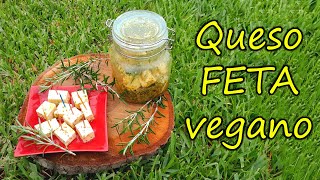 Queso FETA vegano por Nely Helena Acosta Carrillo [upl. by Anier]