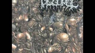 Disgorge Mex  Inhuman Grave Cover [upl. by Safier]