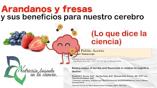 Arándanos y fresas para nuestras funciones cognitivas  Nutrición basada en evidencia [upl. by Hailed253]