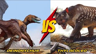 Deinonychus vs Thylacoleo The Duel of Prehistoric Predators [upl. by Gratianna]