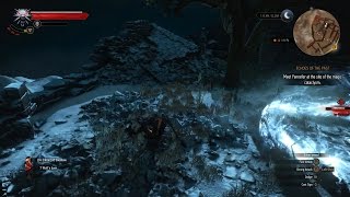 The Witcher 3  How to kill Ice Elemental lvl 30  vs Geralt  lvl 22   Death March [upl. by Lael955]