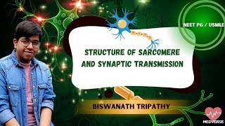 STRUCTURE OF SARCOMERE and SYNAPTIC TRANSMISSION  USMLENEETPG  NM Physiology  MEDVERSE [upl. by Eeluj20]