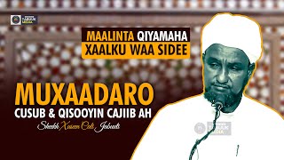 Muxaadaro Cusub amp Qisooyin Qalbiga Taabanaya  Maalinta Qiyaamaha  Sh Xuseen Cali Jabuuti 2024 [upl. by Amal423]