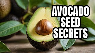 quotAvocado Seeds Health Benefits Unlocking the Hidden Nutrients for Better Wellbeing [upl. by Waylen]