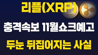 리플 충격속보 11우러 쇼크예고 이거 실화냐 두눈 뒤집어지는 사실 이거 빨리 확인하세요 늦으면 또 당합니다 XRP 리플XRP 리플전망 리플단타 리플항소 [upl. by Eiro]