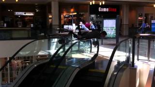 Extreme planking on escalator [upl. by Ahsata]