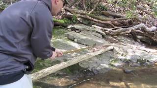 Copperhead Snake Encounter In Georgia [upl. by Peyton]