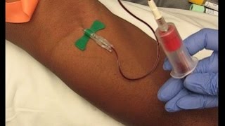 Phlebotomy Procedure Venipuncture with 21G Butterfly education phlebotomy tutorials [upl. by Porte477]