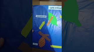 Life cycle of butterfly making idea for biology labart painting love craft paint diy shorts [upl. by Mercy987]