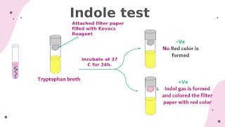 NEOGEN® Training  Colitag™ PresenceAbsence Method [upl. by Ahtanoj]