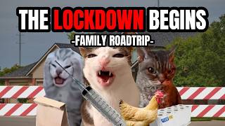 CAT MEMES THE LOCKDOWN BEGINS [upl. by Einnal49]