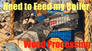 Processing Firewood for my Outdoor Wood Boiler [upl. by Giovanni]