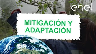 Mitigación y Adaptación frente al cambio climático [upl. by Murvyn]