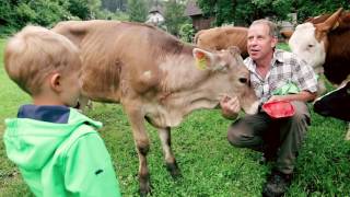 WieWirLeben  Urlaub am Bauernhof Kärnten 🐮 [upl. by Assirok]