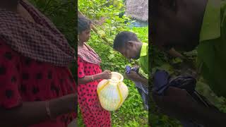 Village vivasayam funny agriculture trendingshorts comedy vivasayam [upl. by Nosaj]