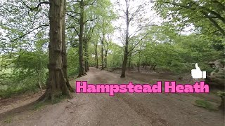 Walking in Hampstead Heath [upl. by Arocahs]