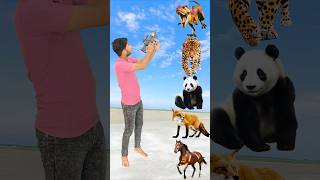 Wilds Animals To Cow Dog buffalos lion goat Name Talking shorts mmmrazz funny comedy [upl. by Lleryt]