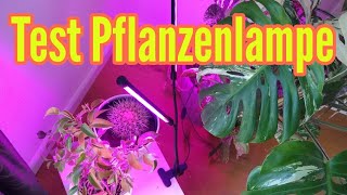 Lichtmangel Zimmperpflanzen Pflanzenlampe für Pflanzen Pflanzenlicht Zimmerpflanzen solawill 18W 36L [upl. by Arnelle]