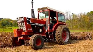 Moldboard Plowing with The International 1066 and Five Bottom Plow [upl. by Ahsemat]