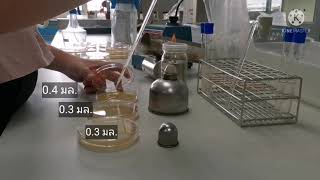 Detection of Staphylococcus aureus in Foods [upl. by Andrade]